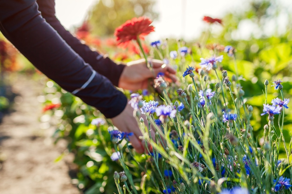 Extra lang genieten van de zomer in eigen tuin